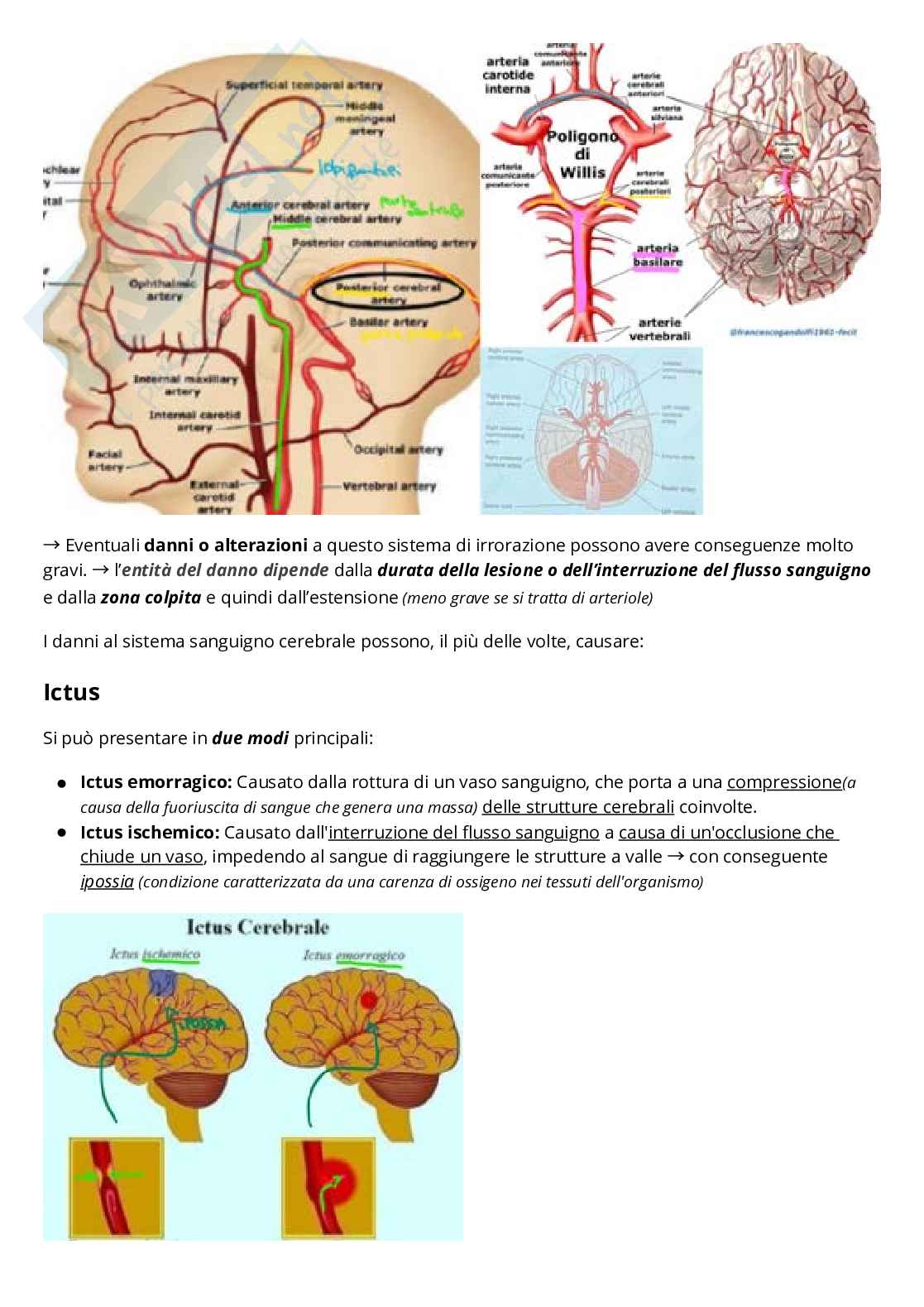Riassunto esame Psicobiologia, Prof. Fiorio Mirta, libro consigliato Neuroscienze cognitive , Gazzaniga  Pag. 31