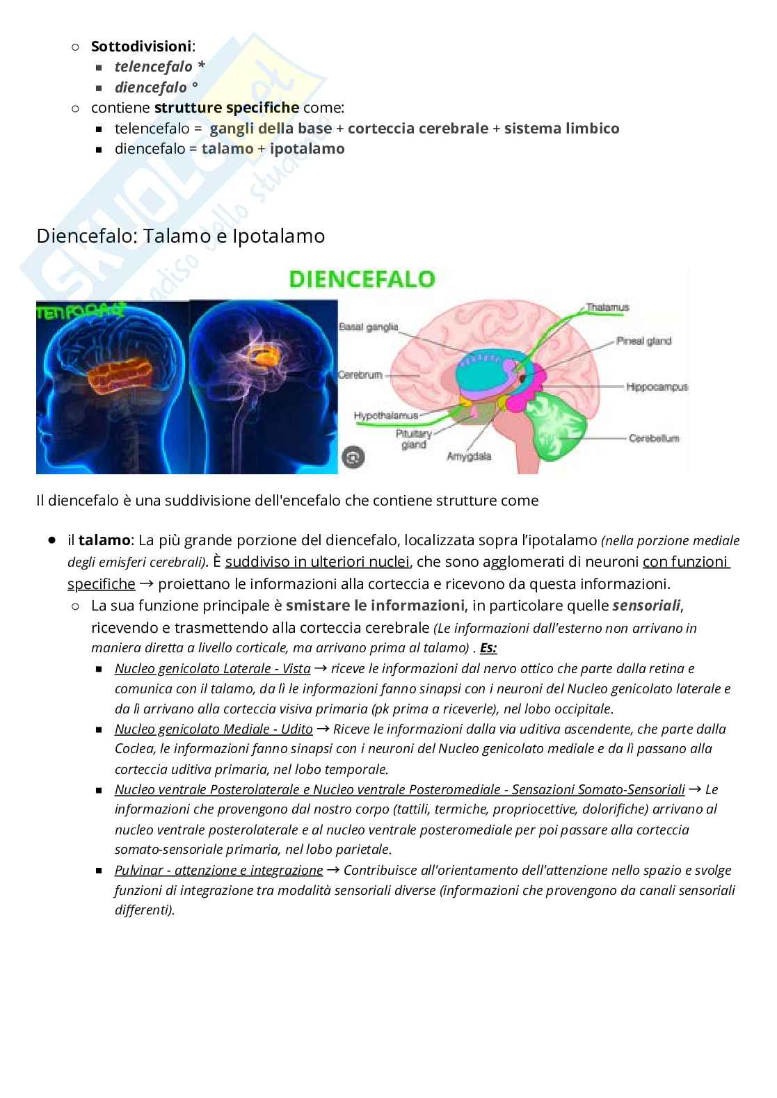 Riassunto esame Psicobiologia, Prof. Fiorio Mirta, libro consigliato Neuroscienze cognitive , Gazzaniga  Pag. 41