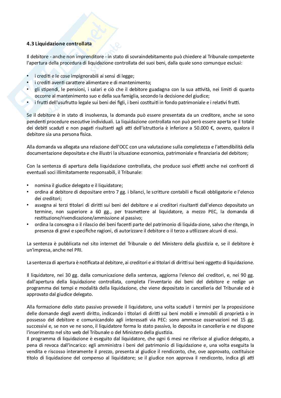 Appunti di Diritto fallimentare Pag. 21
