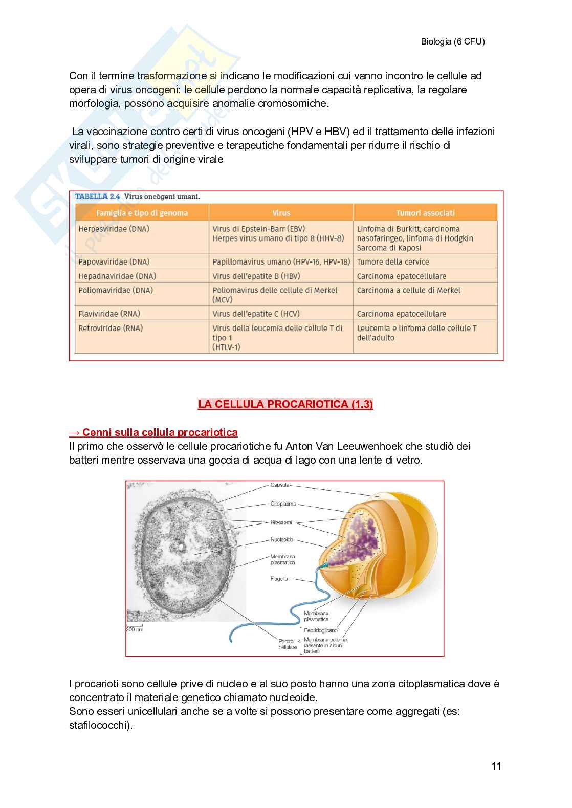 Biologia (semestre filtro) Pag. 11