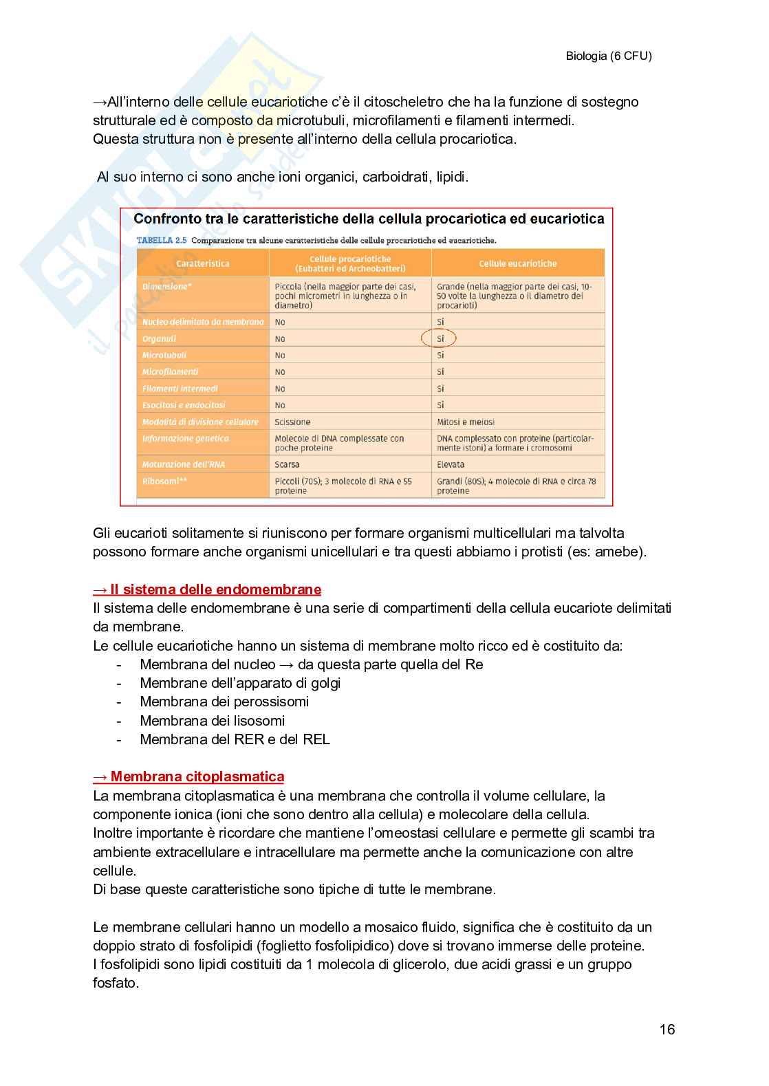 Biologia (semestre filtro) Pag. 16