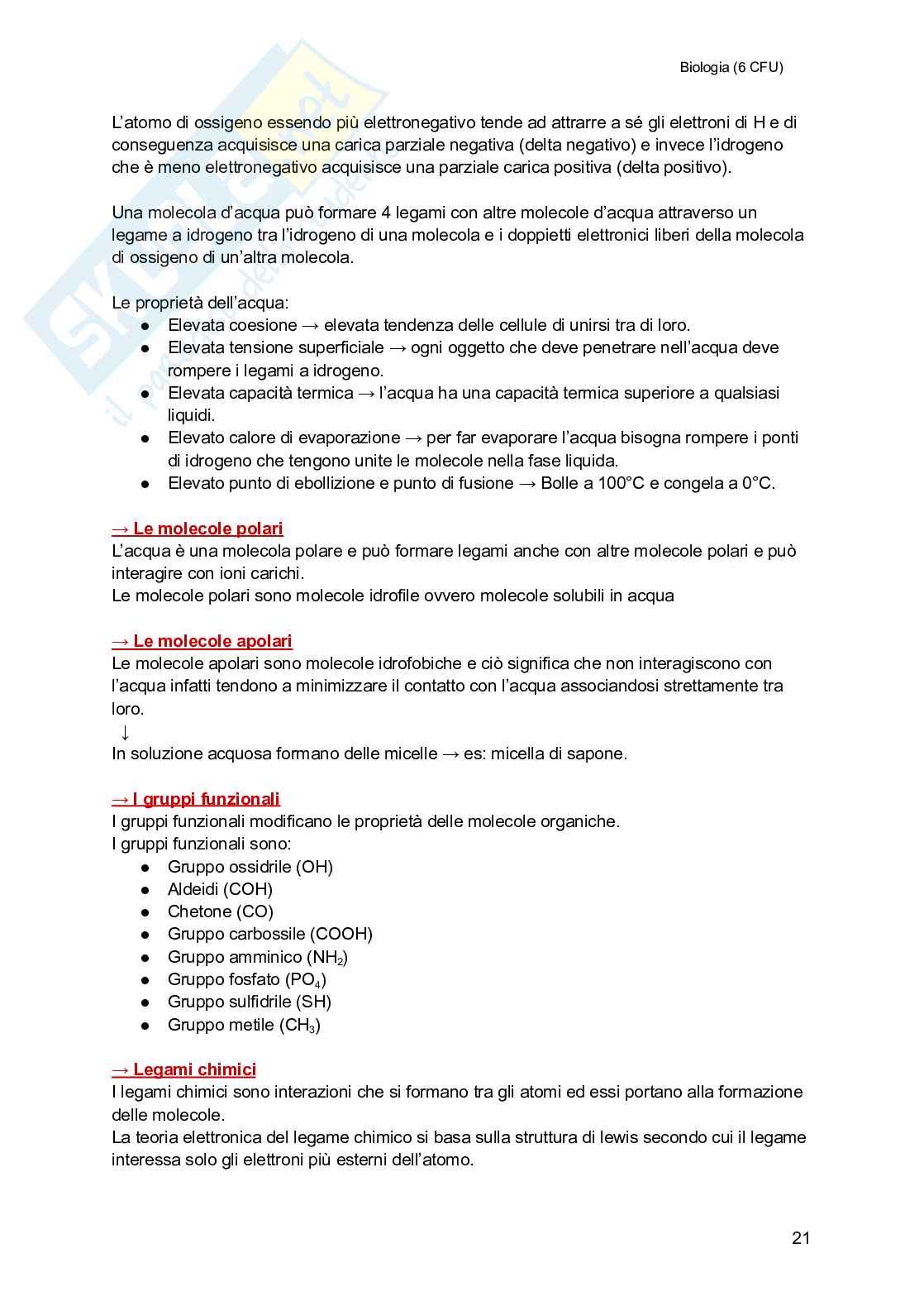 Biologia (semestre filtro) Pag. 21