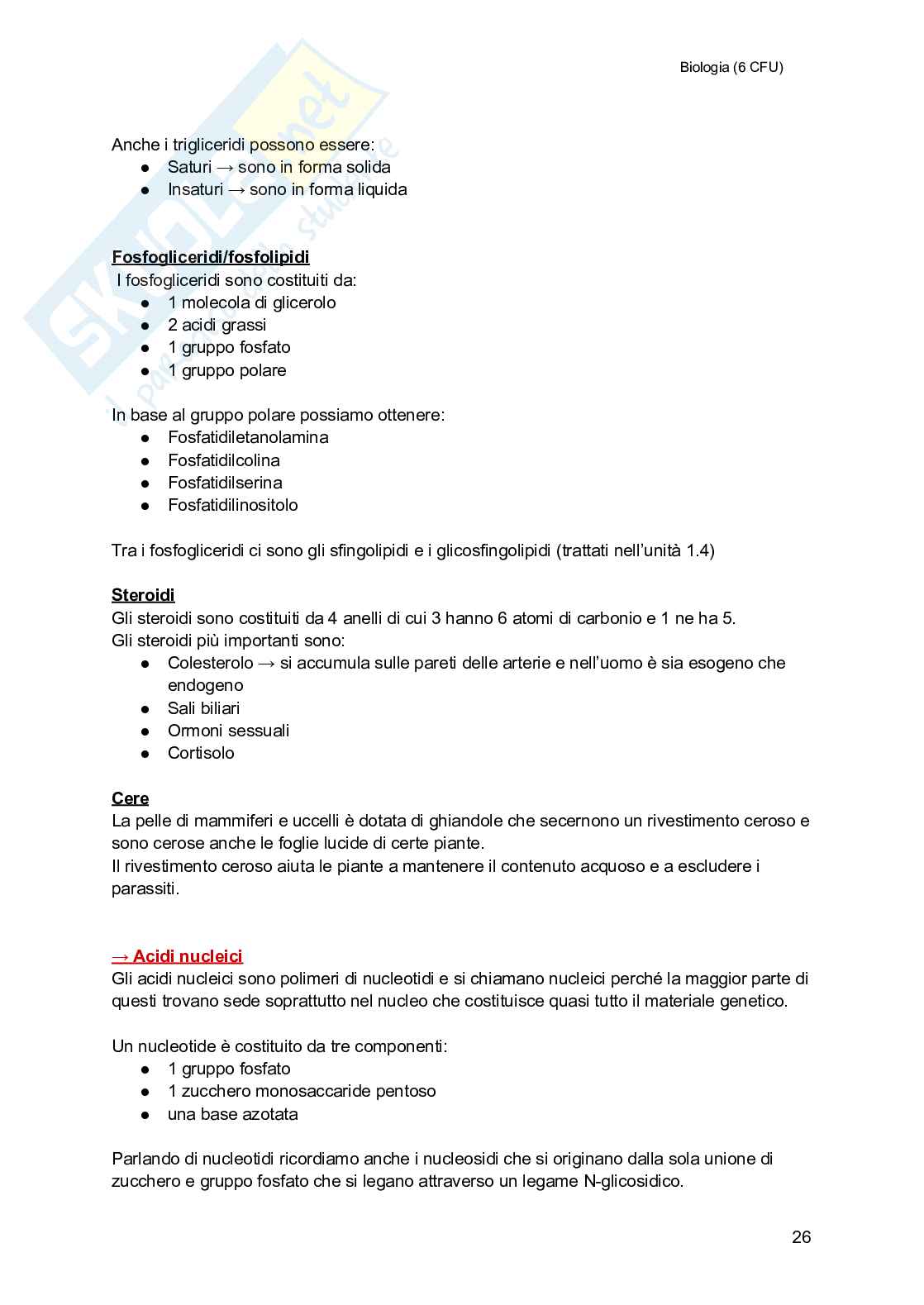 Biologia (semestre filtro) Pag. 26