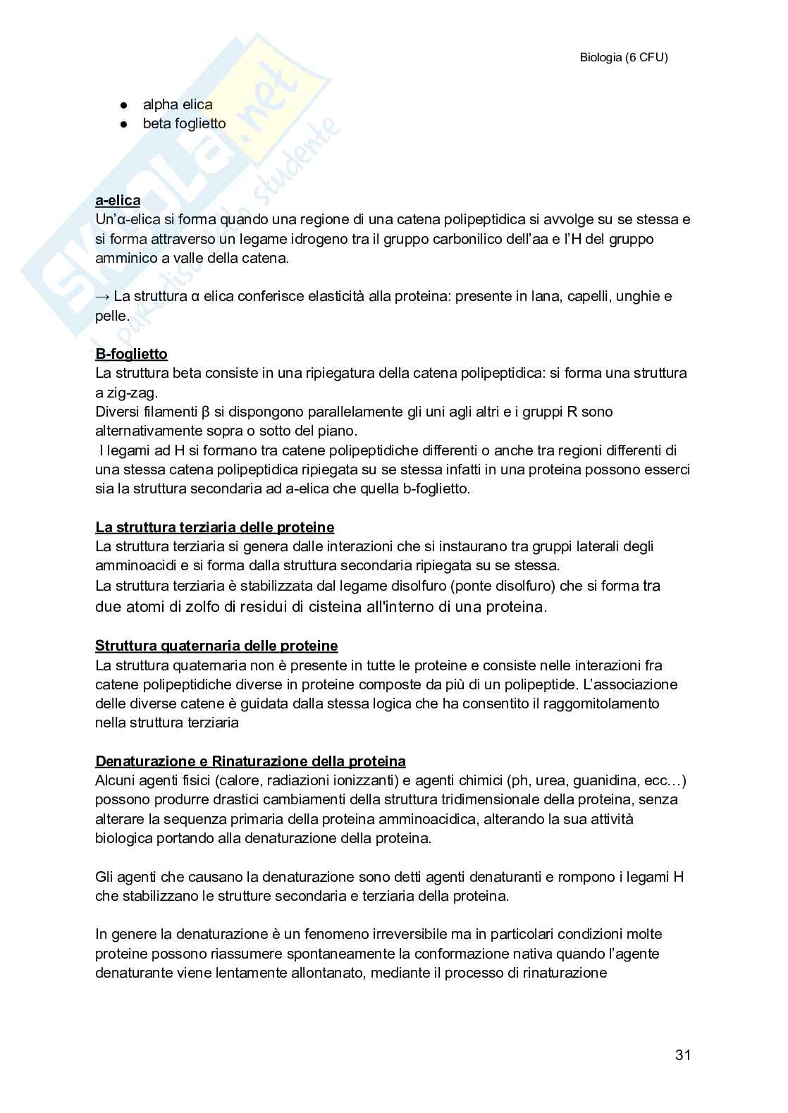 Biologia (semestre filtro) Pag. 31