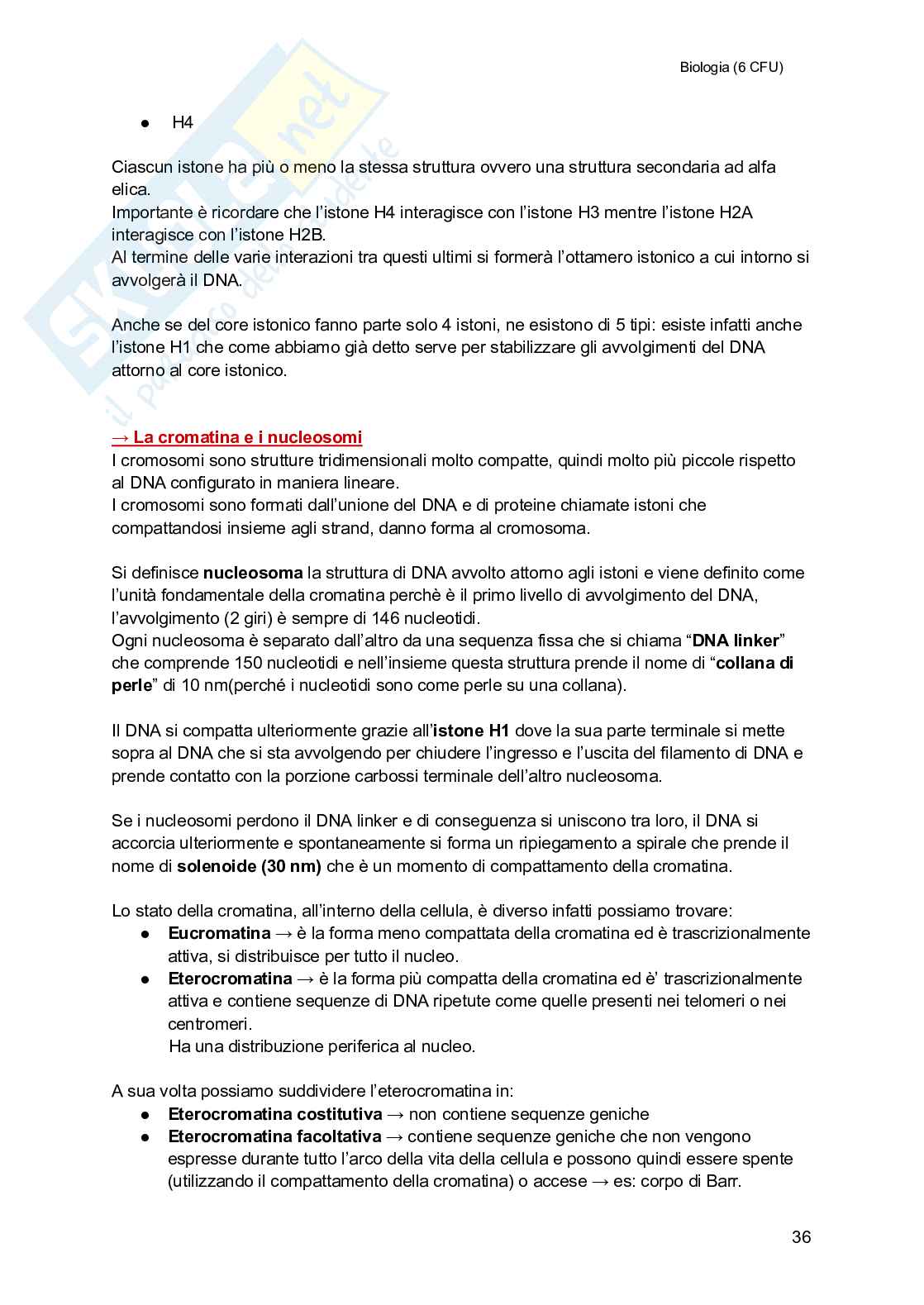 Biologia (semestre filtro) Pag. 36