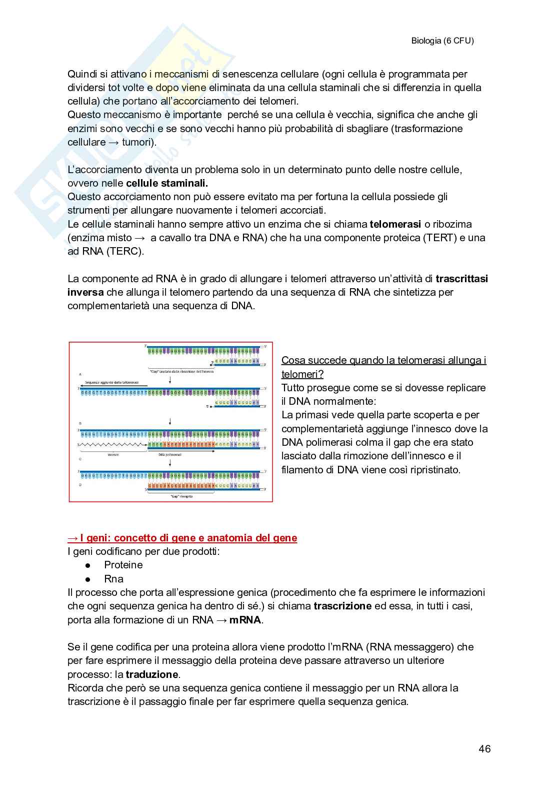 Biologia (semestre filtro) Pag. 46