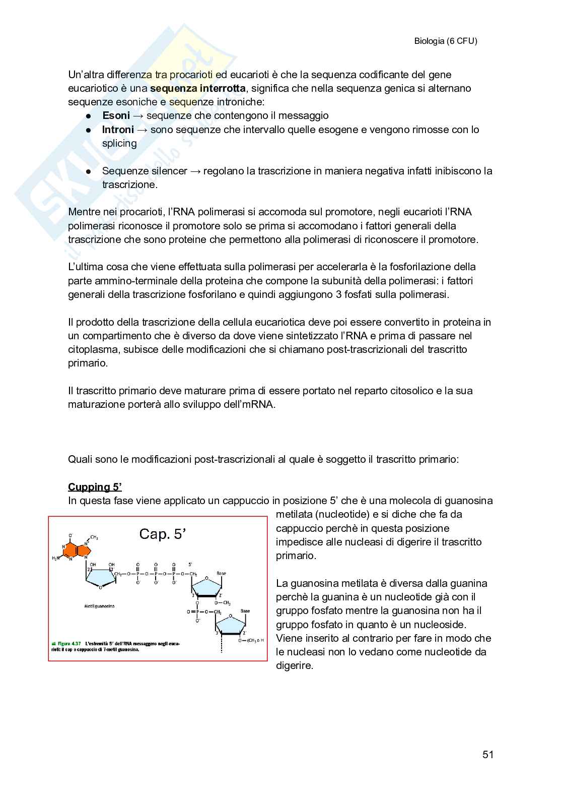 Biologia (semestre filtro) Pag. 51