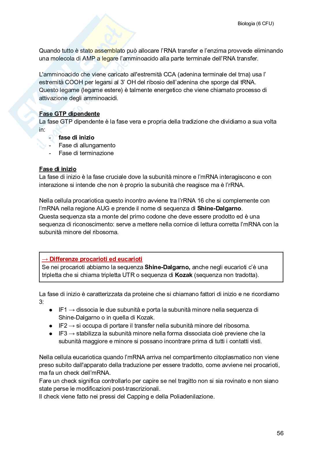 Biologia (semestre filtro) Pag. 56