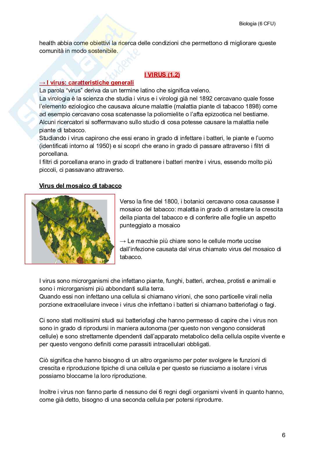 Biologia (semestre filtro) Pag. 6