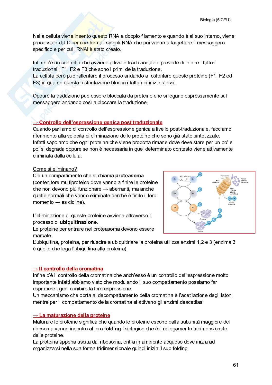 Biologia (semestre filtro) Pag. 61