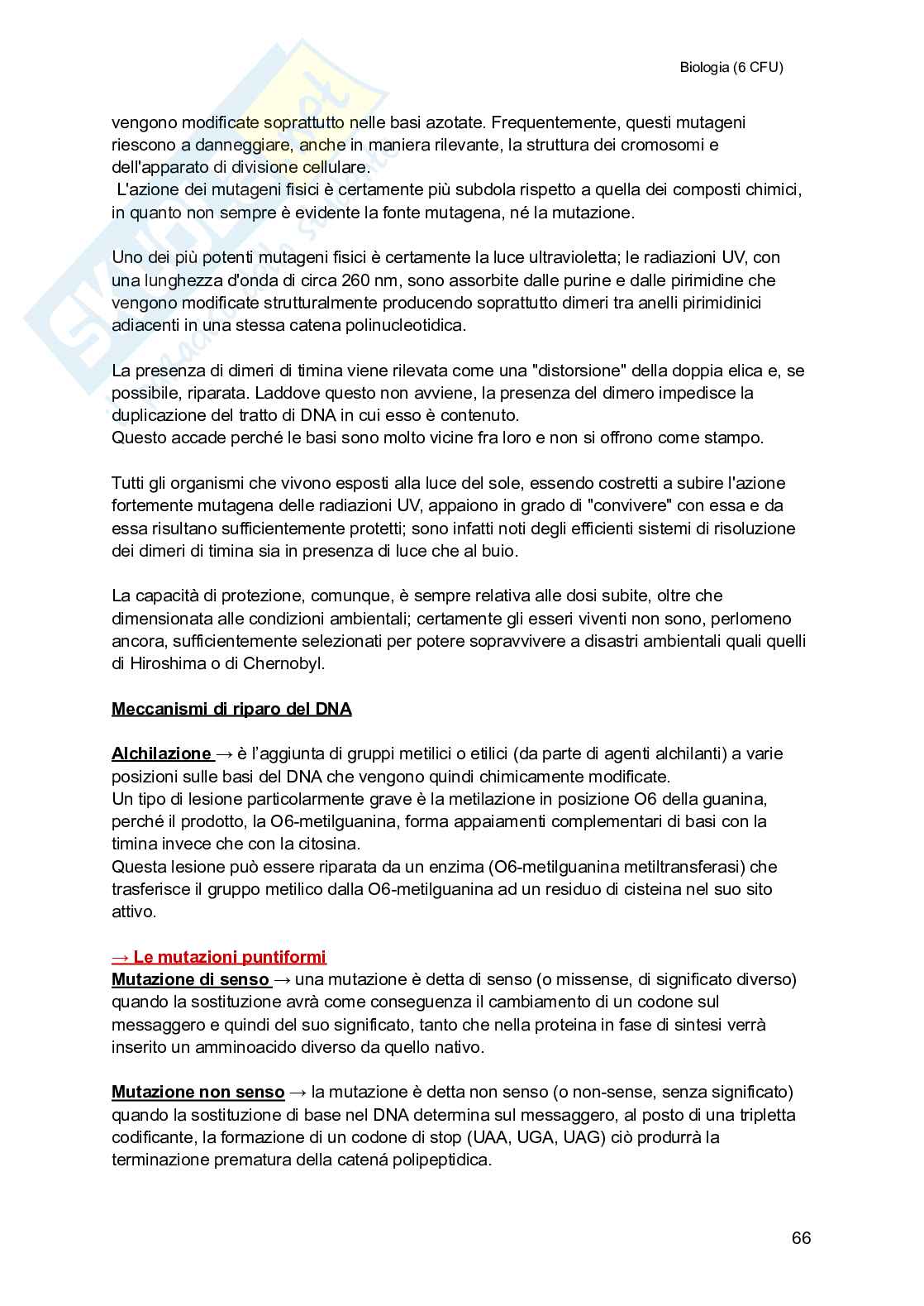 Biologia (semestre filtro) Pag. 66