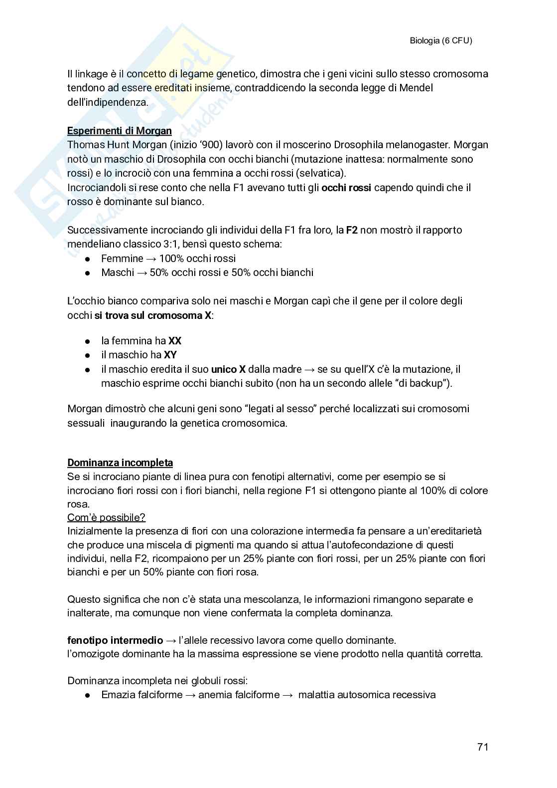 Biologia (semestre filtro) Pag. 71