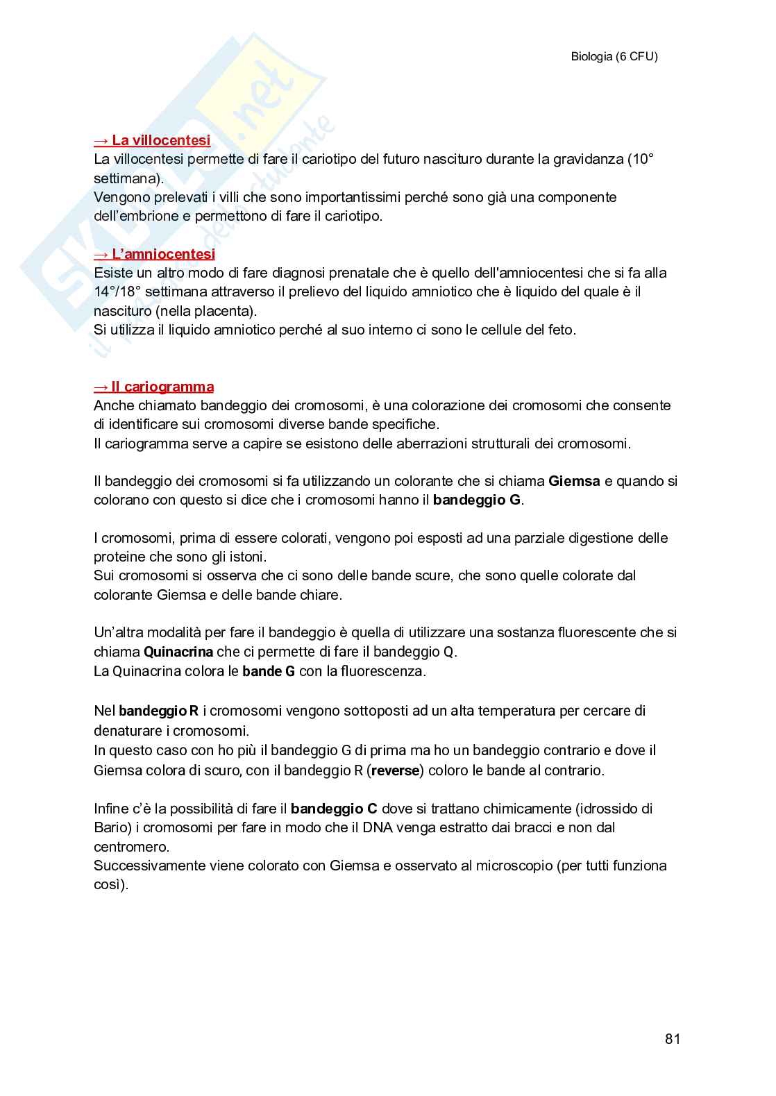 Biologia (semestre filtro) Pag. 81