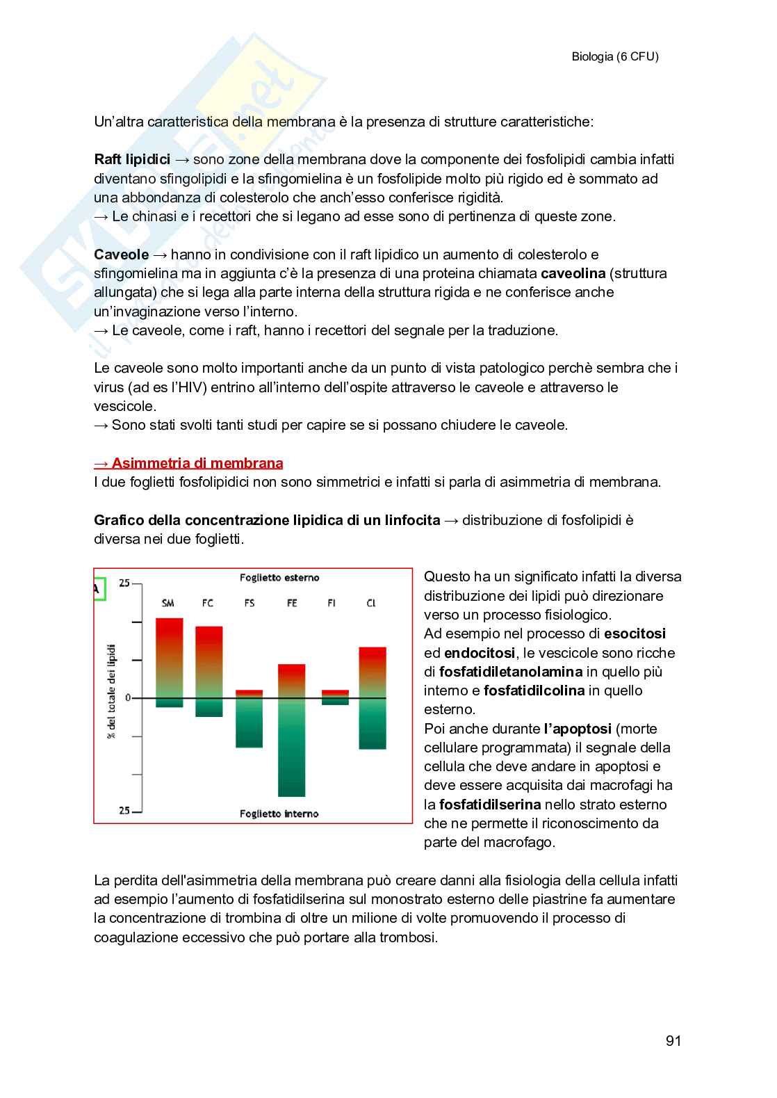 Biologia (semestre filtro) Pag. 91