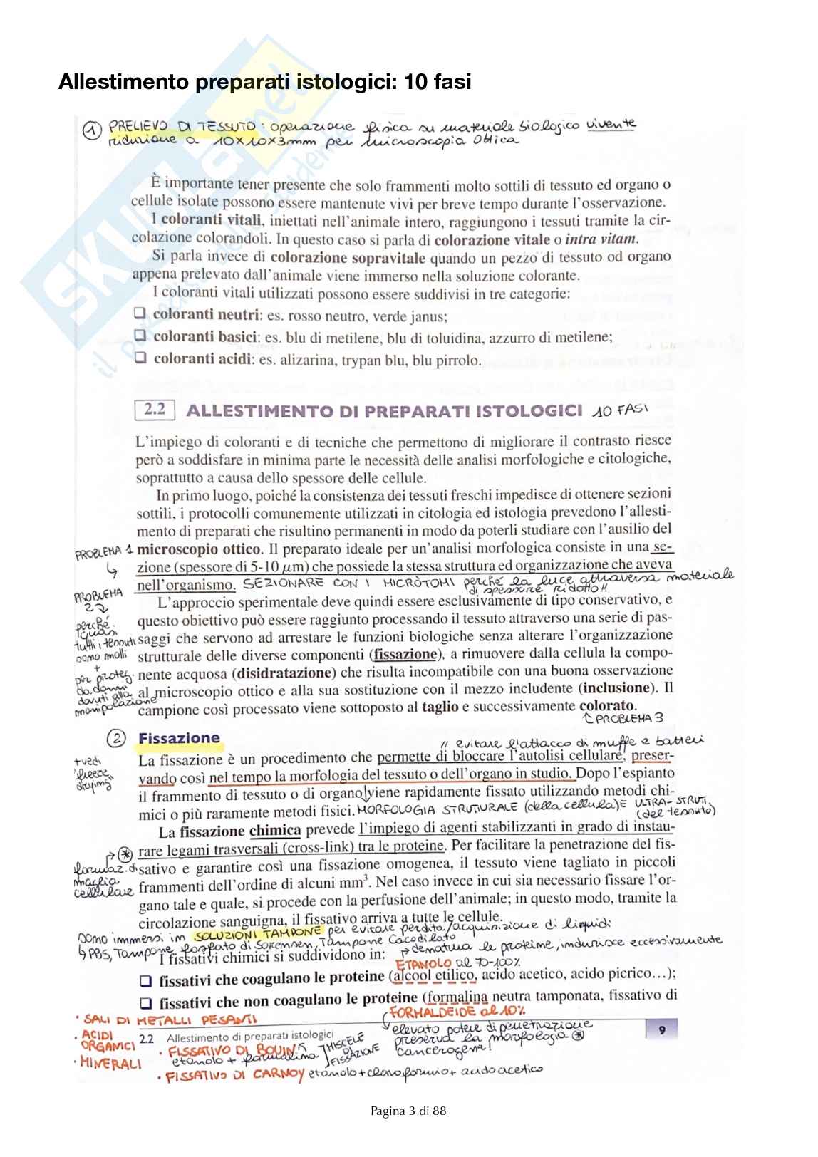 Allestimento preparati istologici Pag. 2