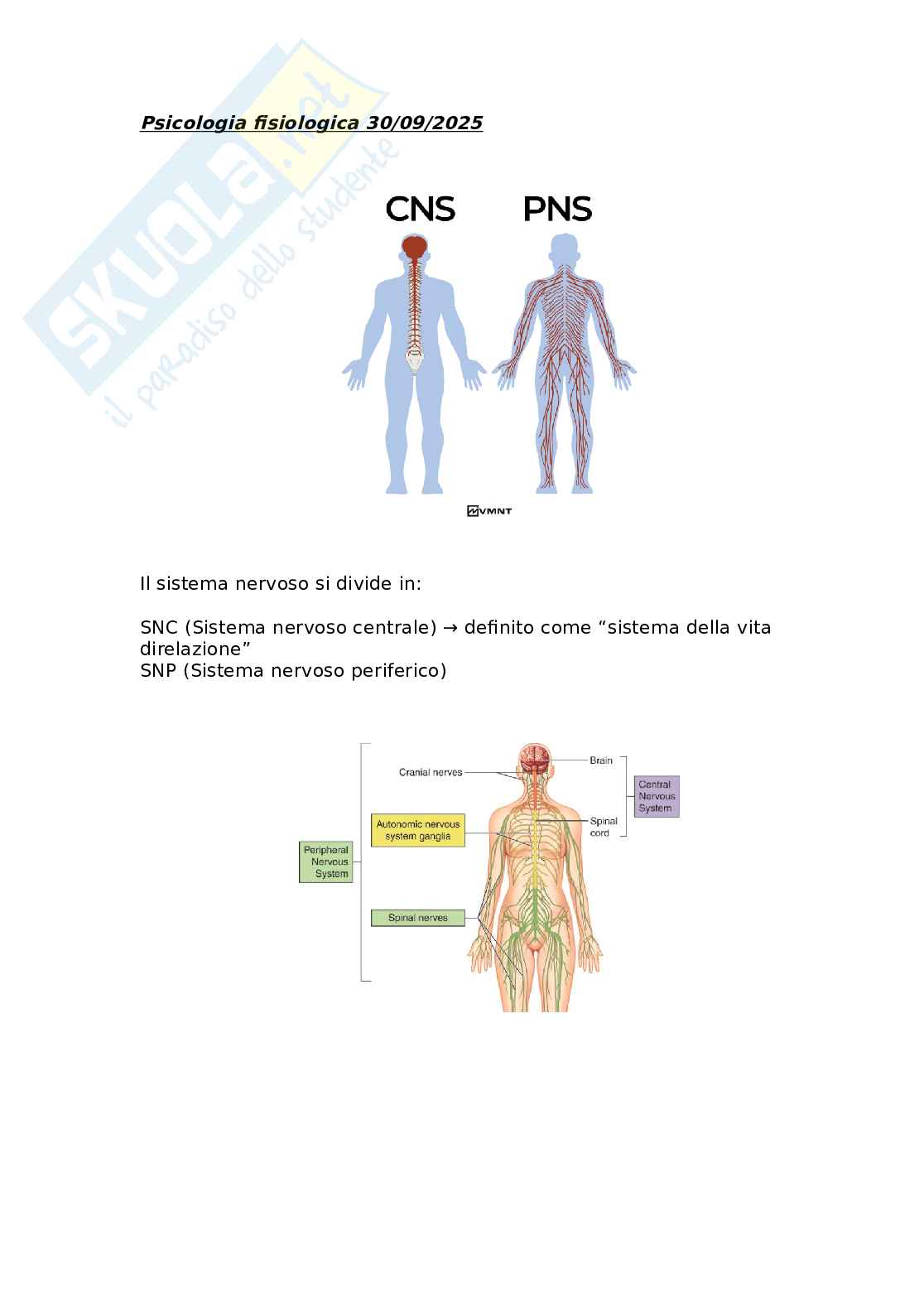 Neuroanatomia funzionale: organizzazione cerebrale, lateralizzazione e memoria Pag. 1