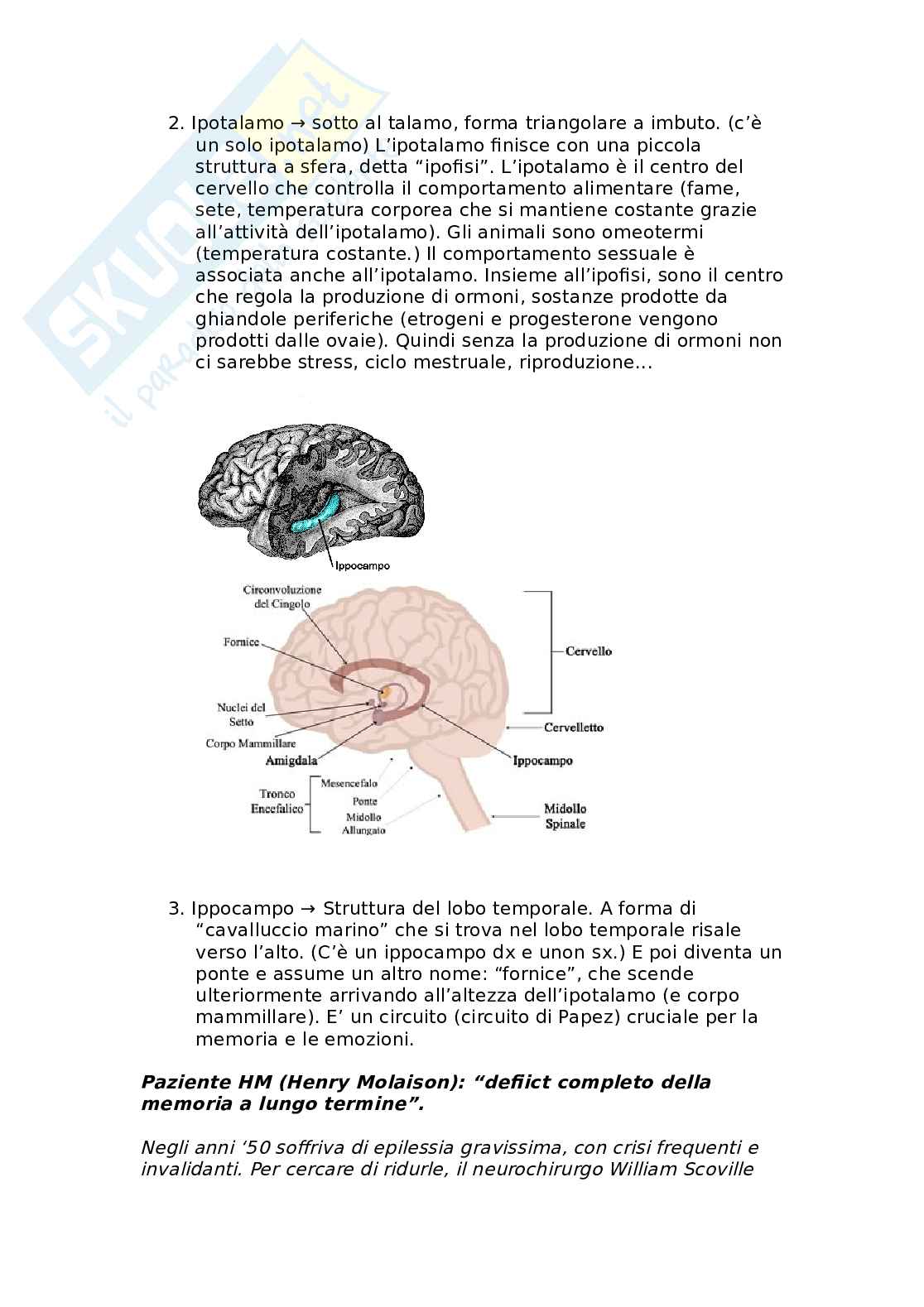 Neuroanatomia funzionale: organizzazione cerebrale, lateralizzazione e memoria Pag. 11