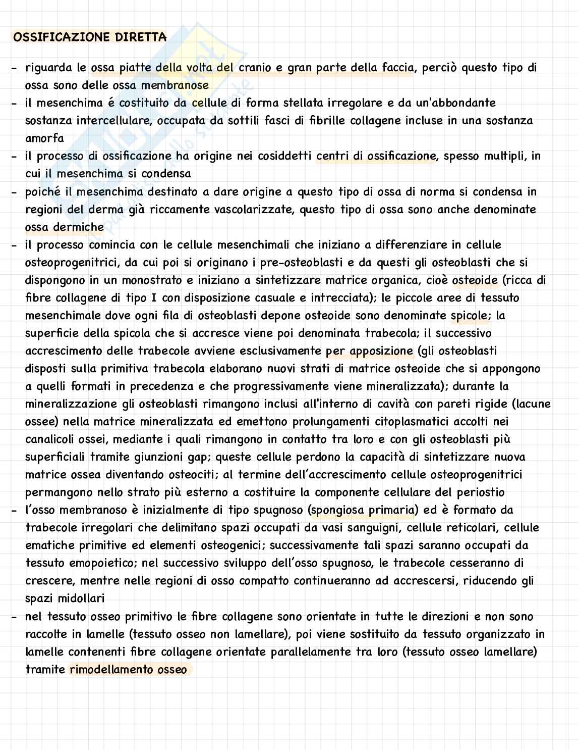 Istologia Pag. 56