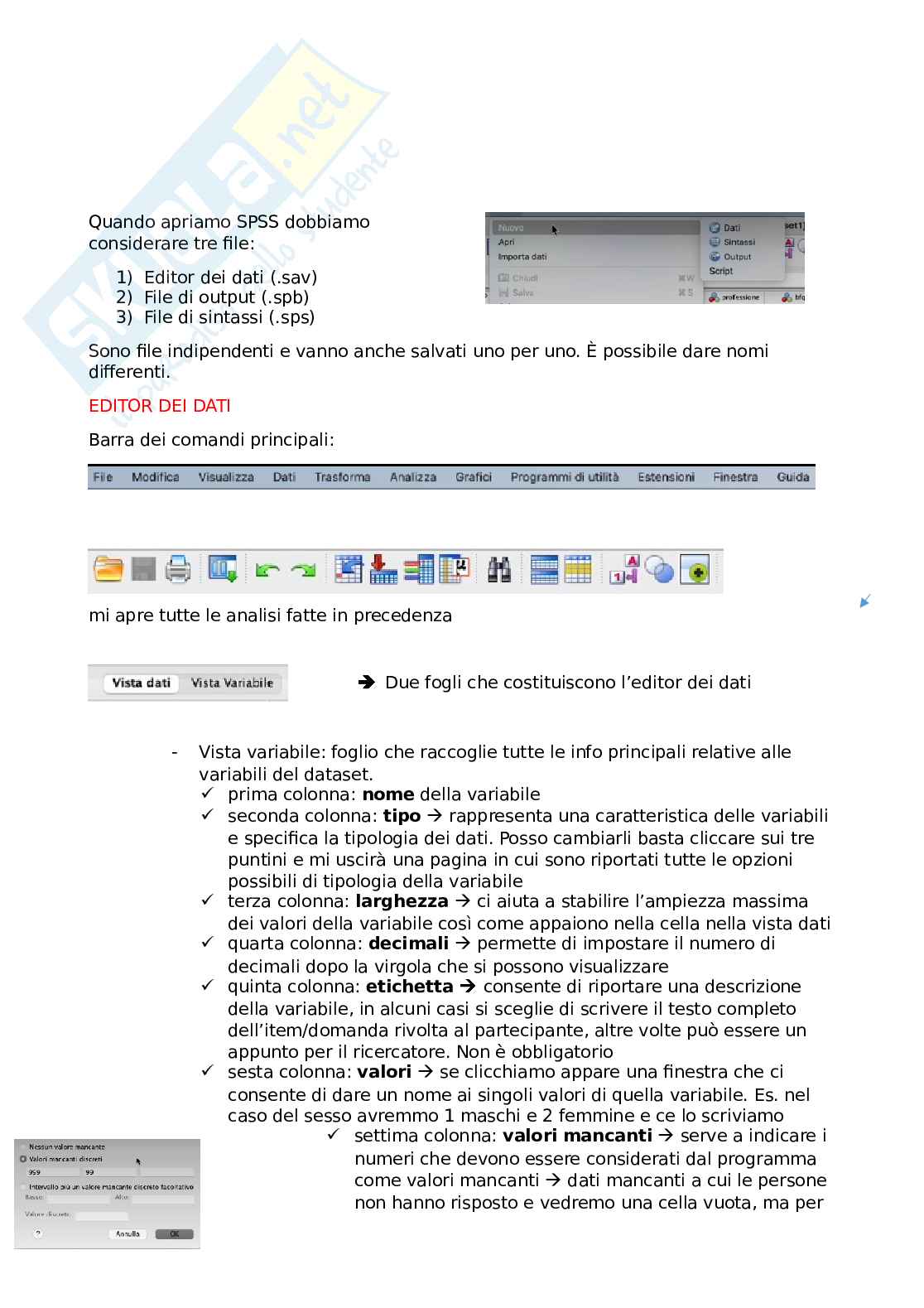 Appunti e videolezioni sulle funzioni di base per l'uso di SPSS  Pag. 2