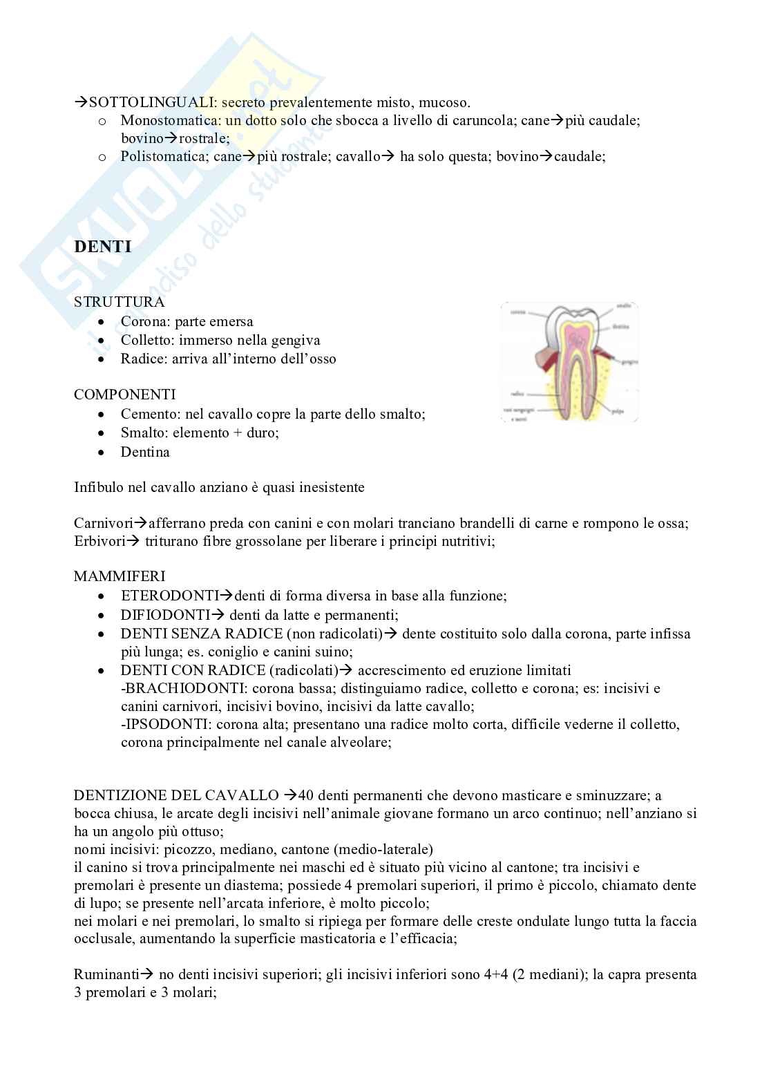 Anatomia Generale I e II Pag. 6