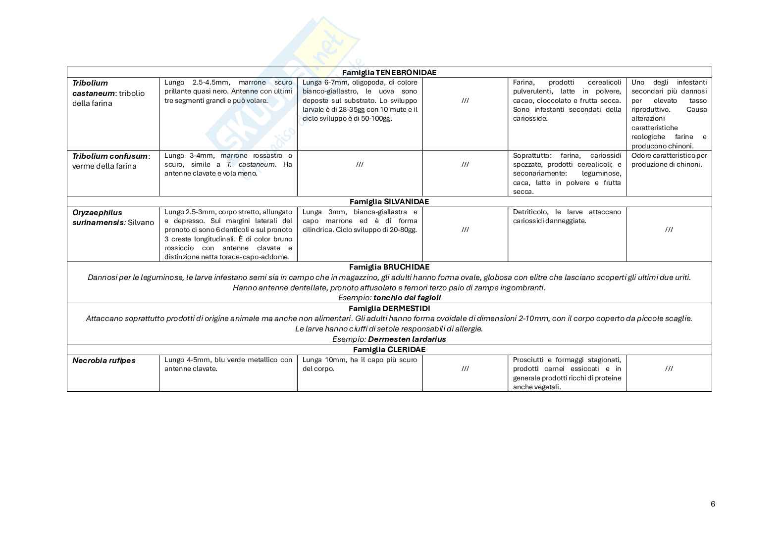 Tabelle riassuntive Entomologia Pag. 6
