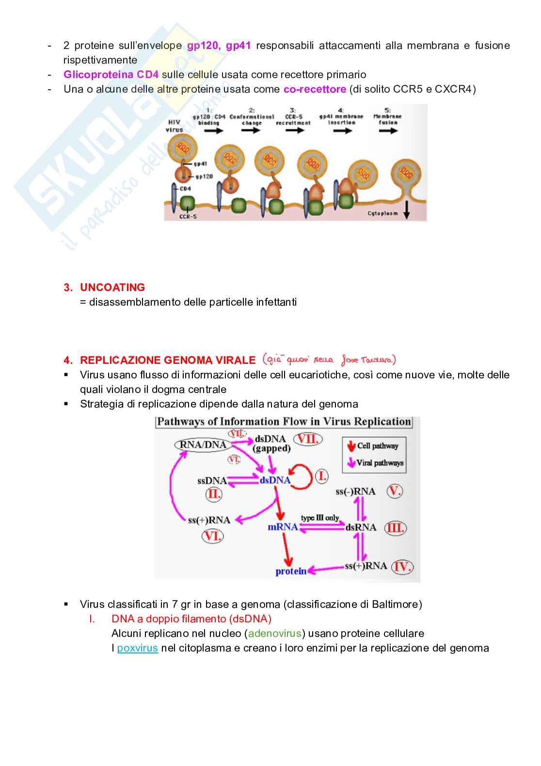 Appunti completi di Microbiologia e microbiologia clinica biotech, II anno Pag. 16
