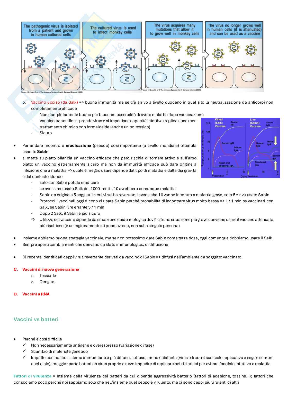 Appunti completi di Microbiologia e microbiologia clinica biotech, II anno Pag. 31