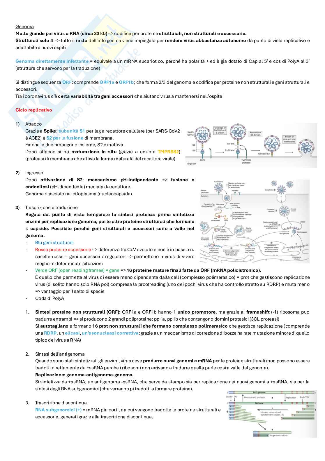 Appunti completi di Microbiologia e microbiologia clinica biotech, II anno Pag. 41