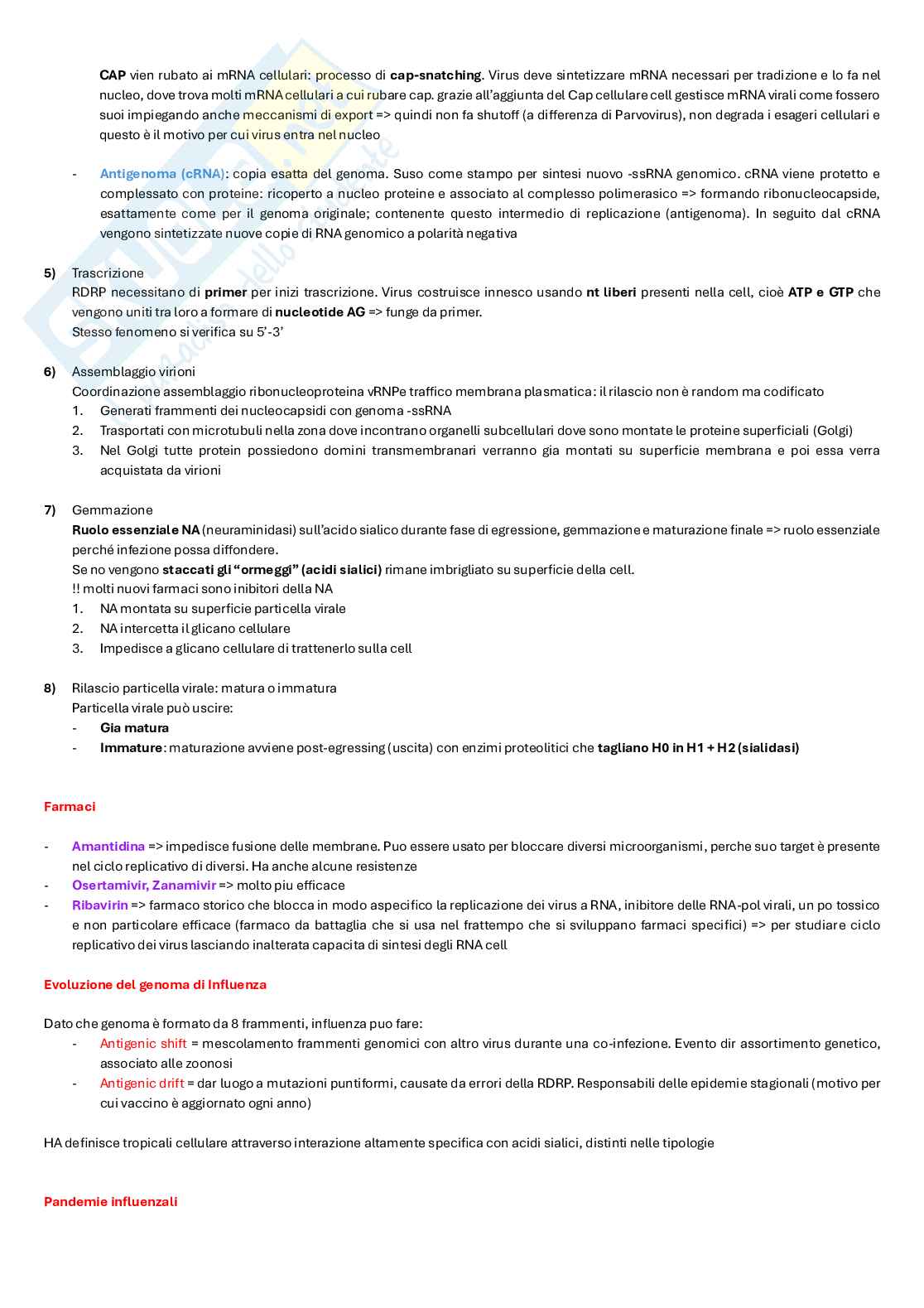 Appunti completi di Microbiologia e microbiologia clinica biotech, II anno Pag. 46