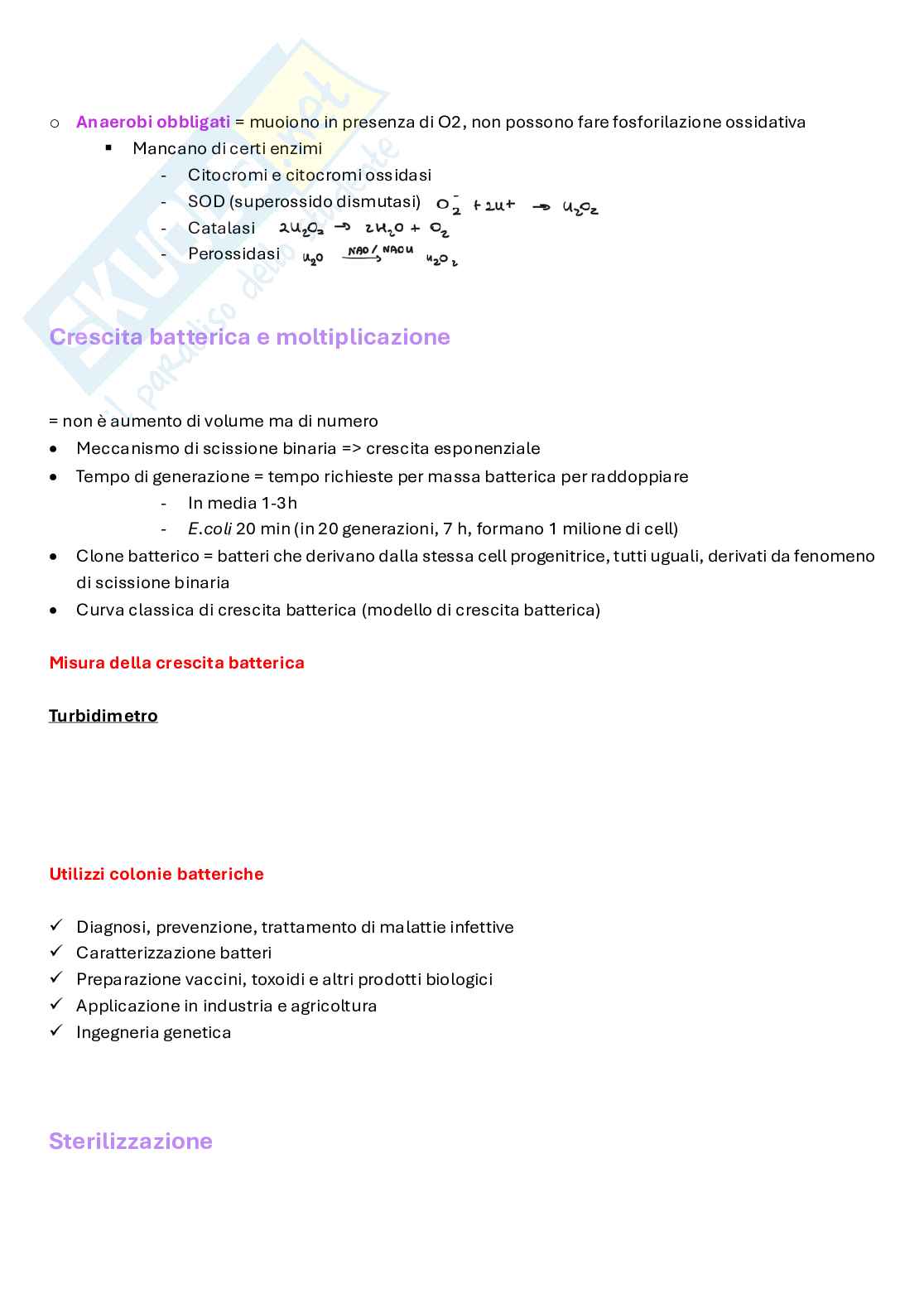 Appunti completi di Microbiologia e microbiologia clinica biotech, II anno Pag. 81