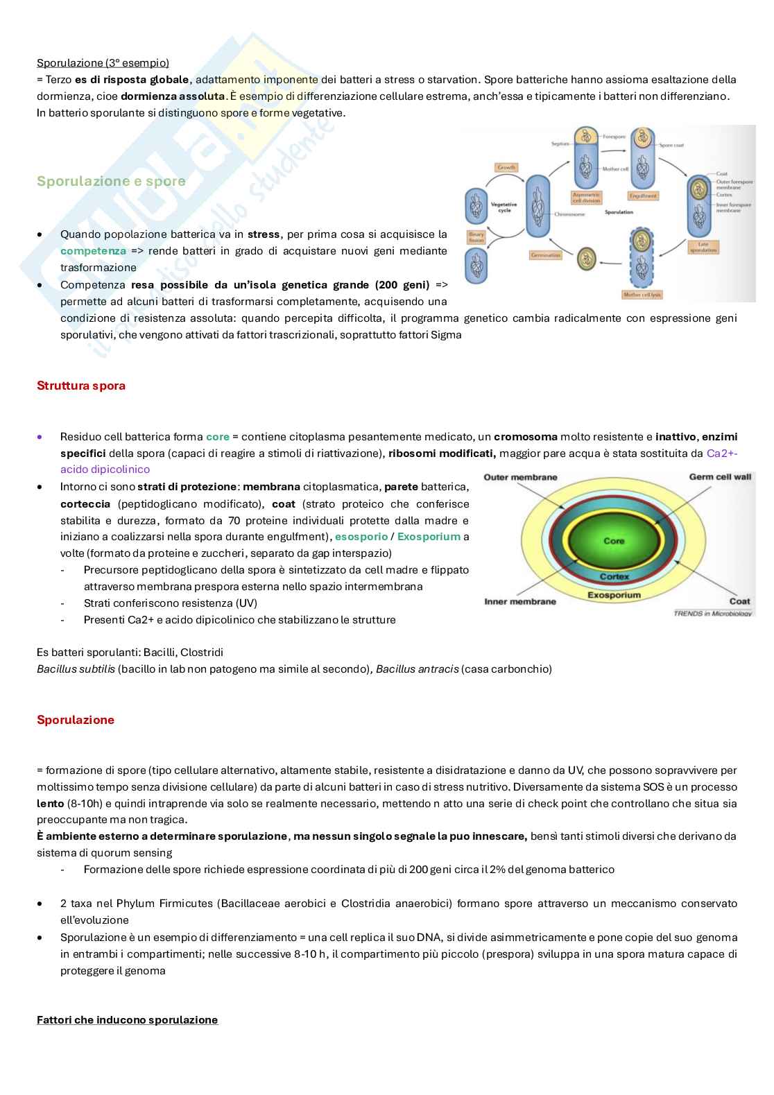 Appunti completi di Microbiologia e microbiologia clinica biotech, II anno Pag. 91