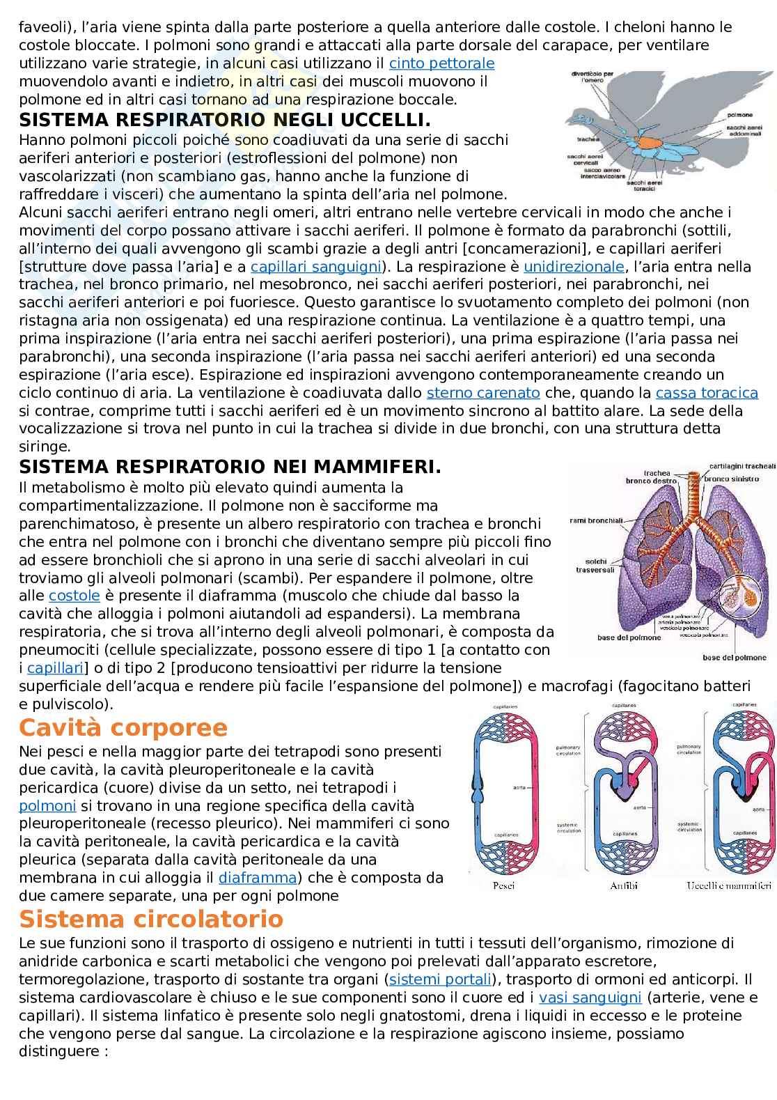 Anatomia comparata Pag. 26