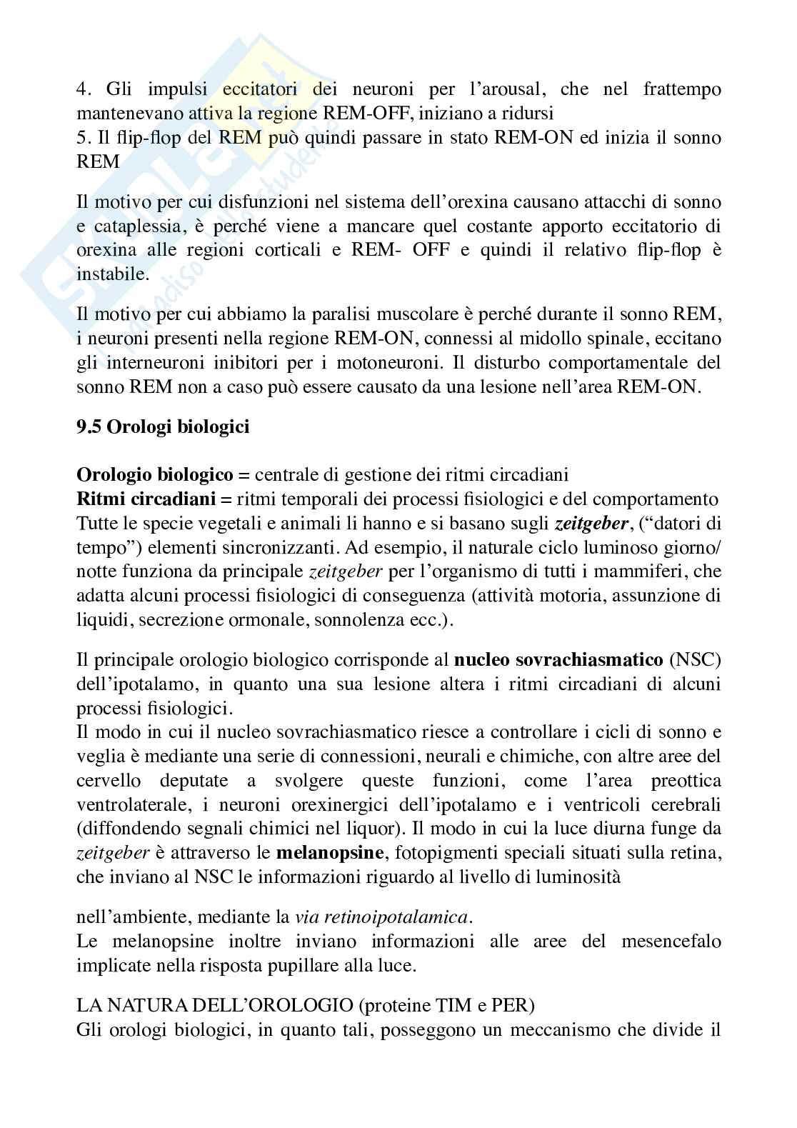 Riassunto esame Fisiologia del comportamento, prof. Imperatori, libro consigliato "Fisiologia del comportamento",Carlson Pag. 26