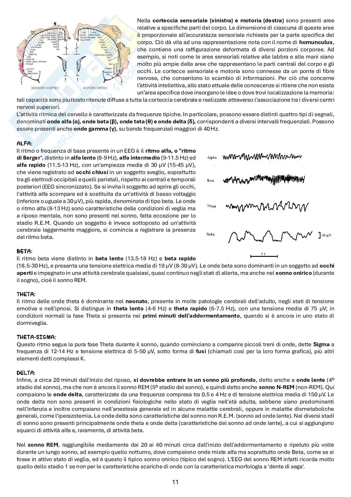Appunti di Bioingegneria elettronica e informatica Pag. 11