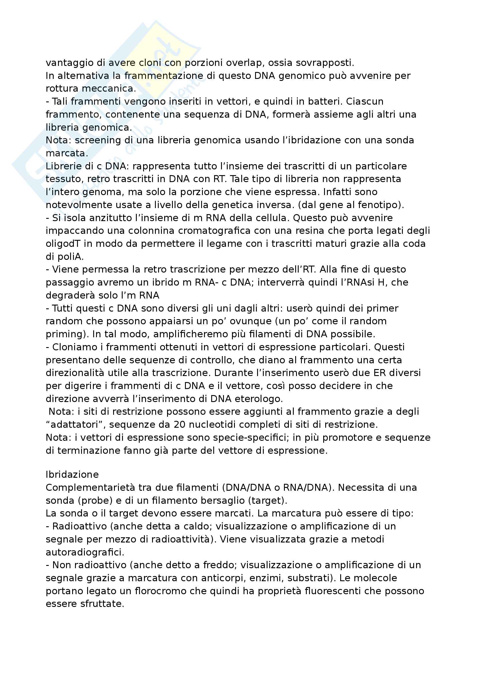 Ingegneria Genetica Pag. 41