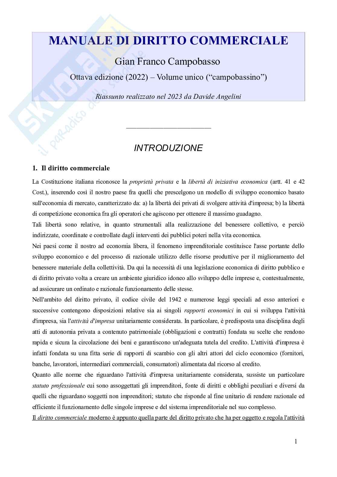 Riassunto esame Diritto commerciale , Prof. Semeghini Danilo, libro consigliato Manuale di diritto commerciale (volume unico, "campobassino", 8^ edizione - 2022), Campobasso Pag. 1