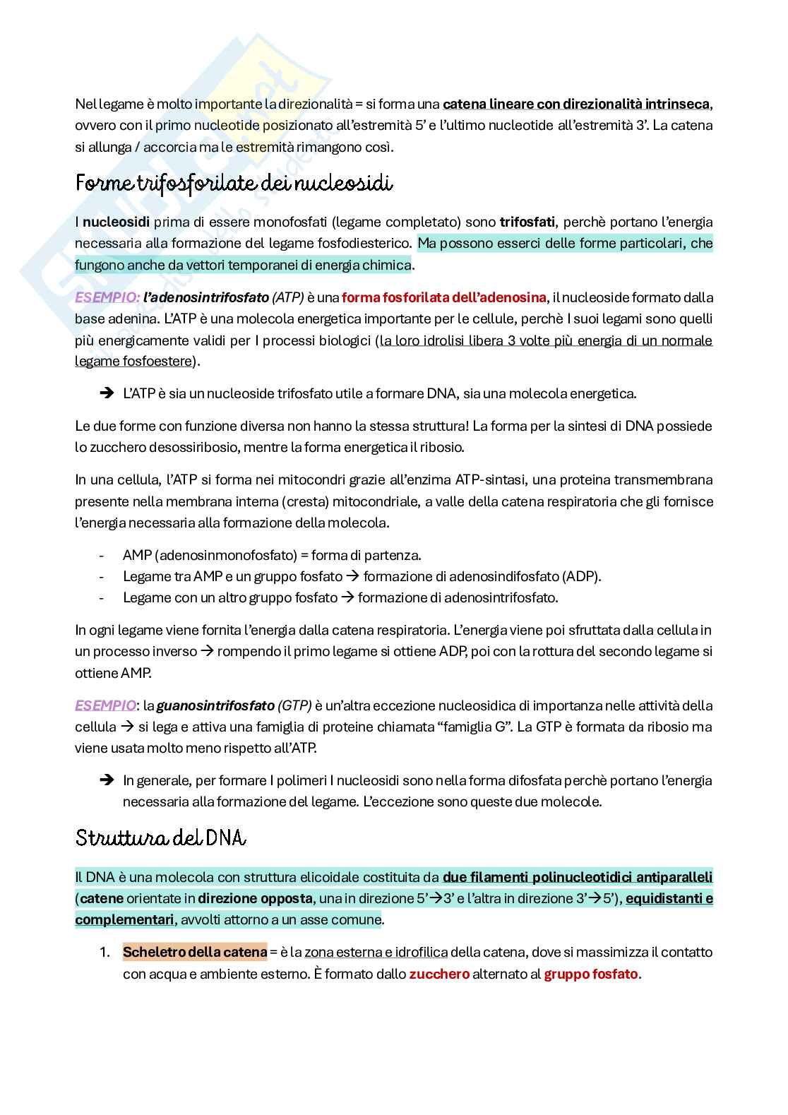 Riassunto esame Citologia e istologia, Prof. Colombo Anita, libro consigliato Biologia cellulare e molecolare, Karp Pag. 16