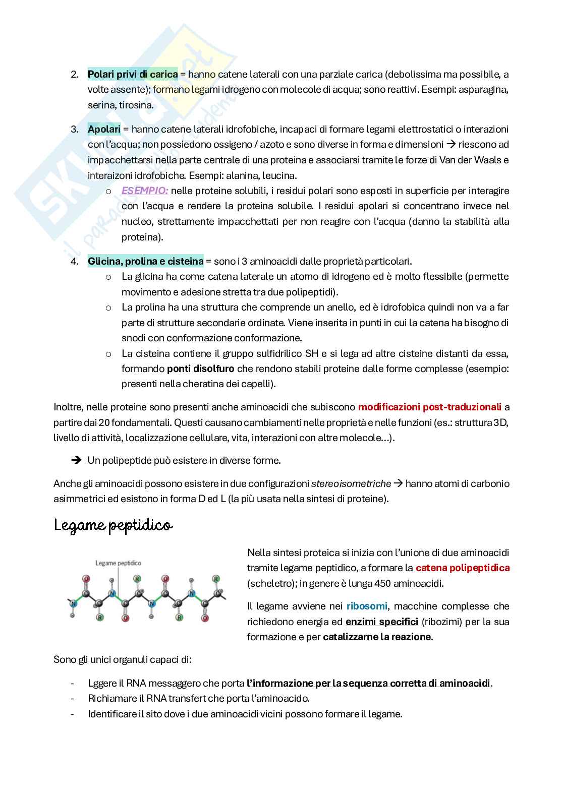 Riassunto esame Citologia e istologia, Prof. Colombo Anita, libro consigliato Biologia cellulare e molecolare, Karp Pag. 21