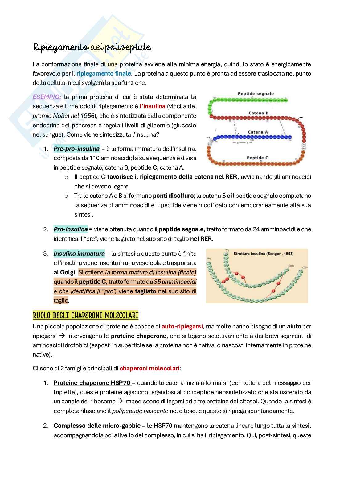 Riassunto esame Citologia e istologia, Prof. Colombo Anita, libro consigliato Biologia cellulare e molecolare, Karp Pag. 26