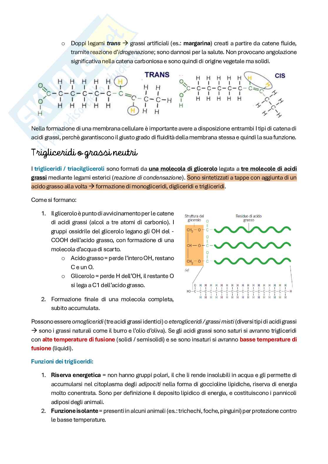 Riassunto esame Citologia e istologia, Prof. Colombo Anita, libro consigliato Biologia cellulare e molecolare, Karp Pag. 36