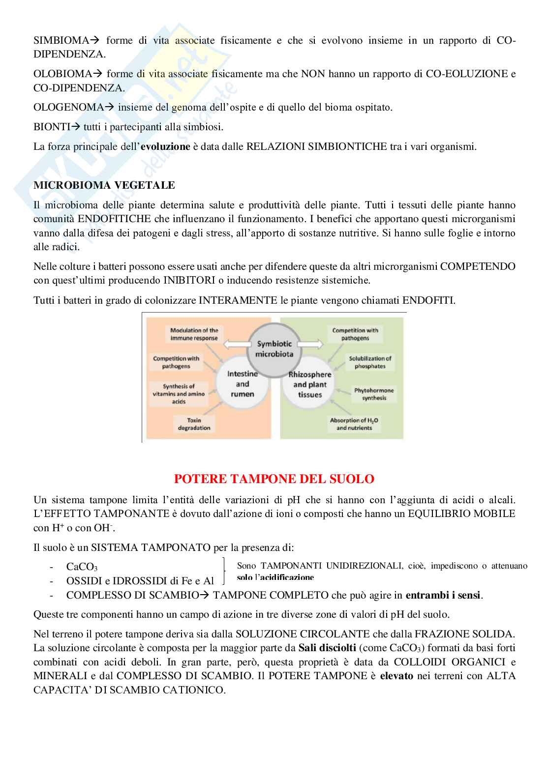 Appunti Biochimica agraria e chimica del suolo  Pag. 81