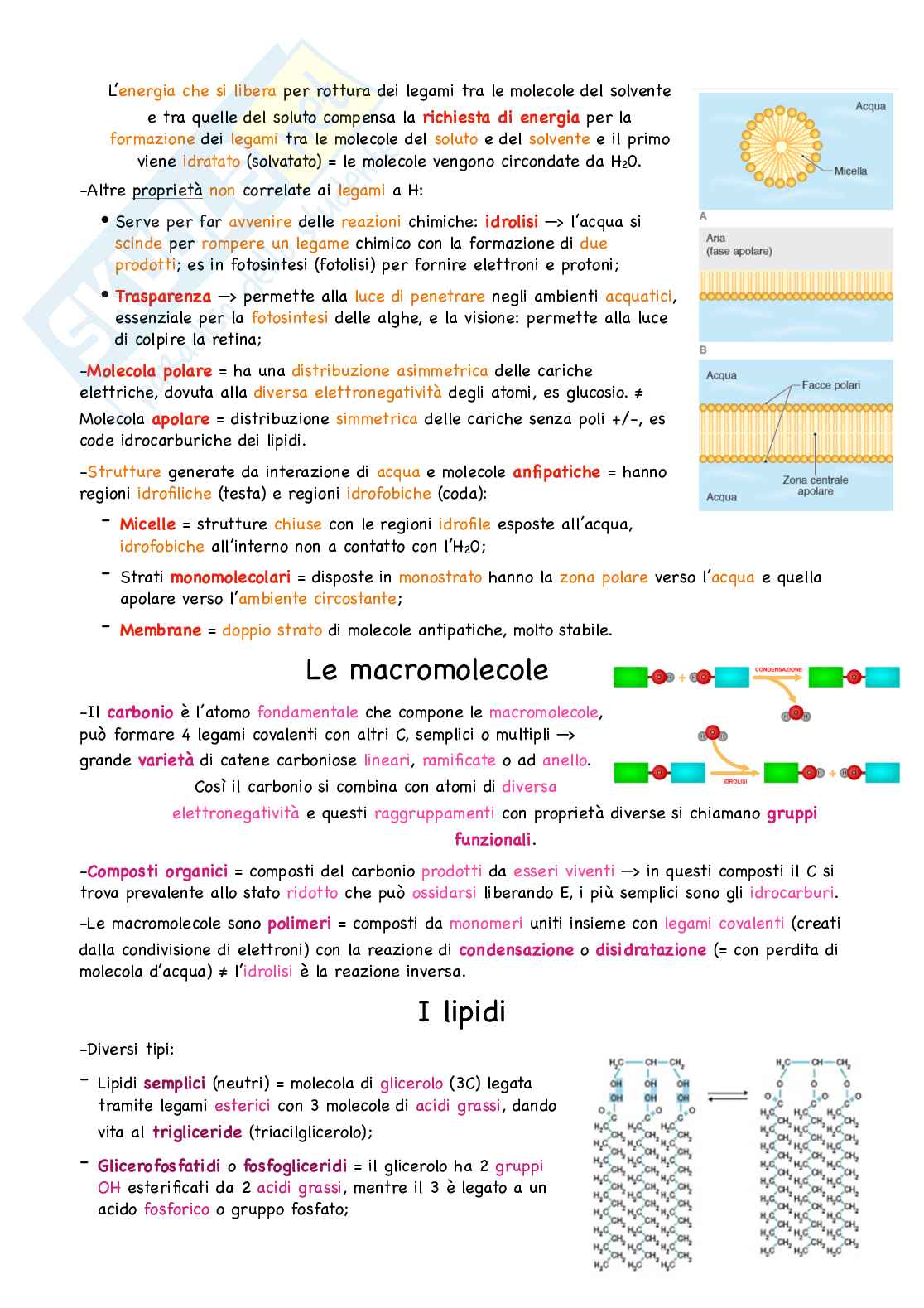 Semestre filtro Biologia e genetica: unità didattica 1 Pag. 2