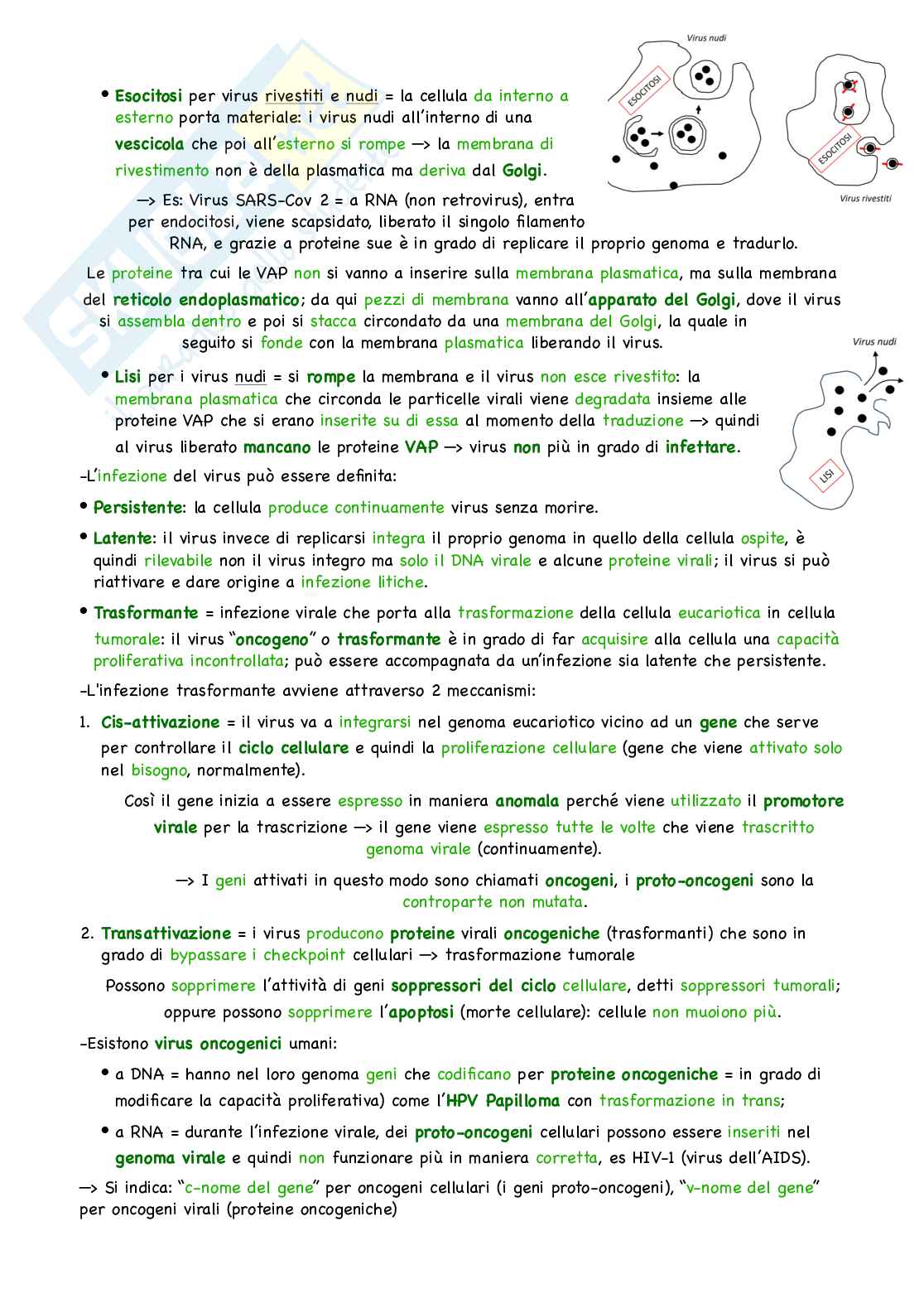 Semestre filtro Biologia e genetica: unità didattica 1 Pag. 21