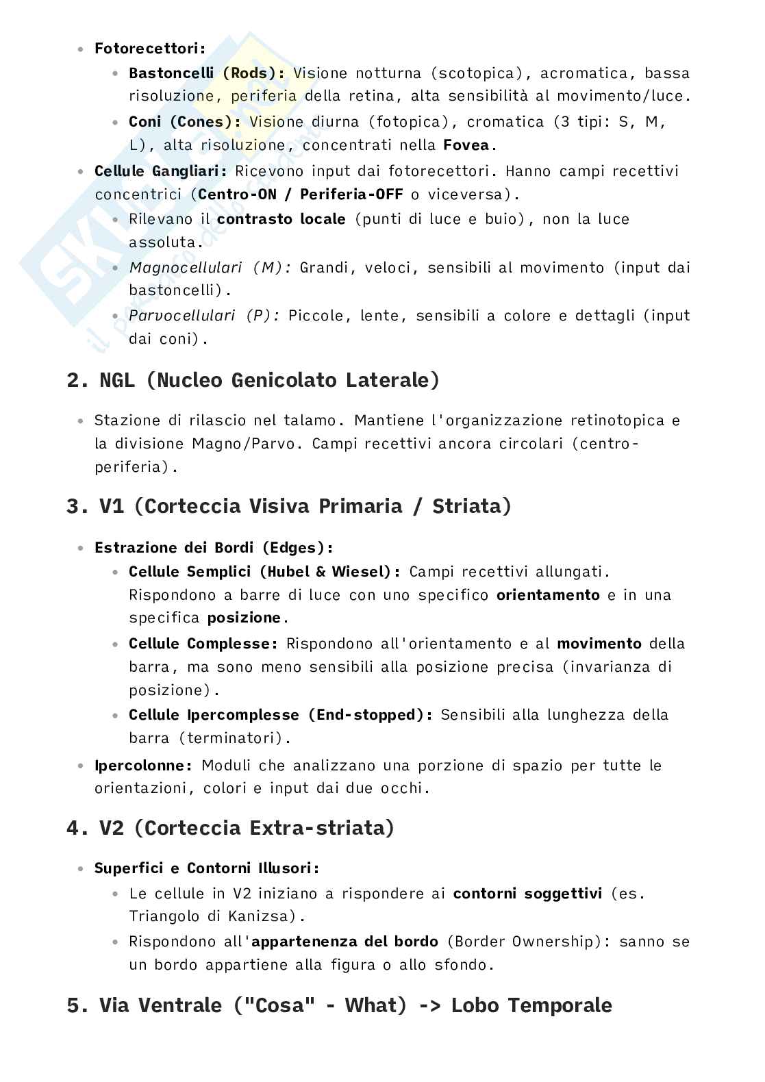 Psicologia della percezione - Attenzione Pag. 6