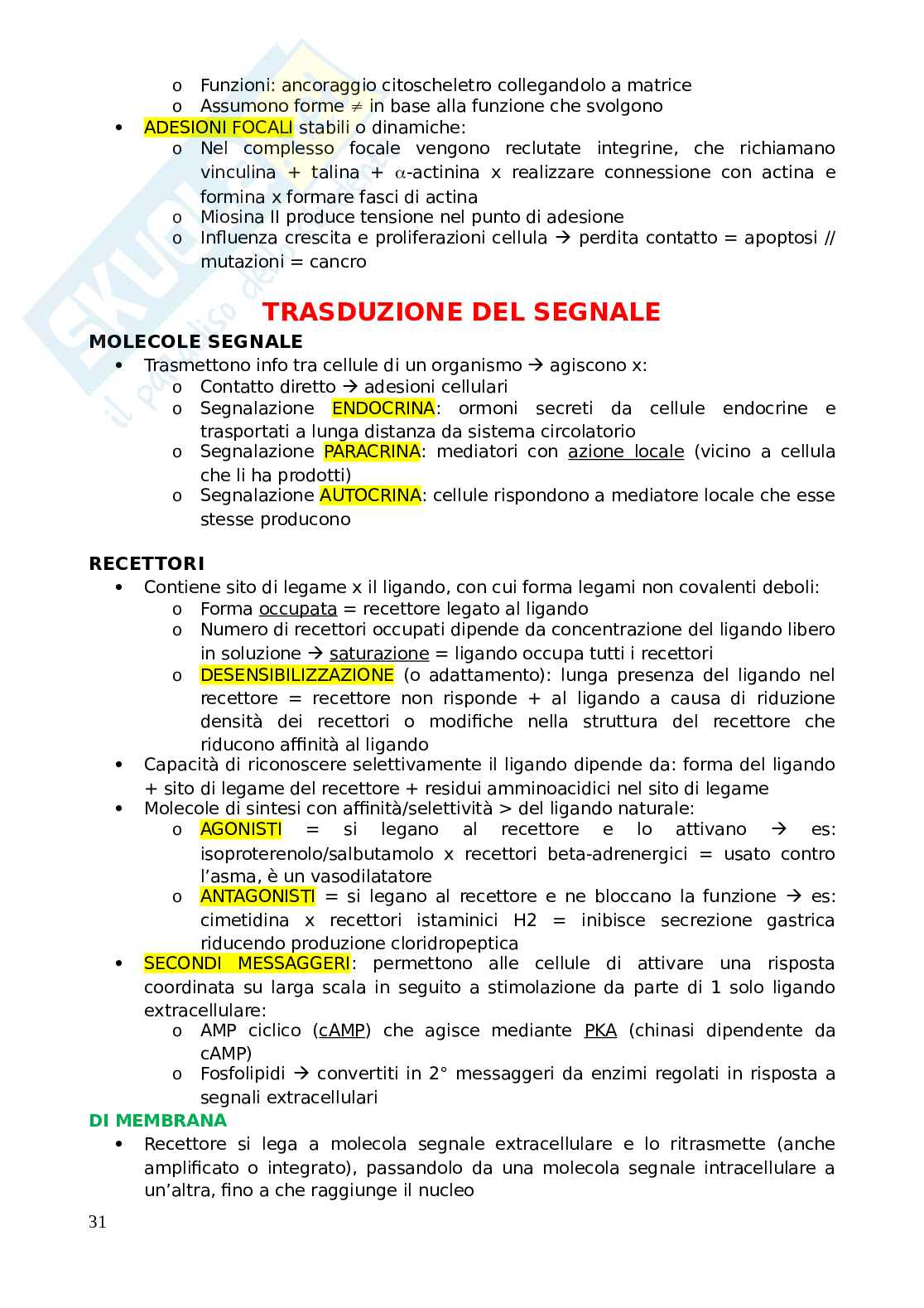 Appunti di biologia animale Pag. 31