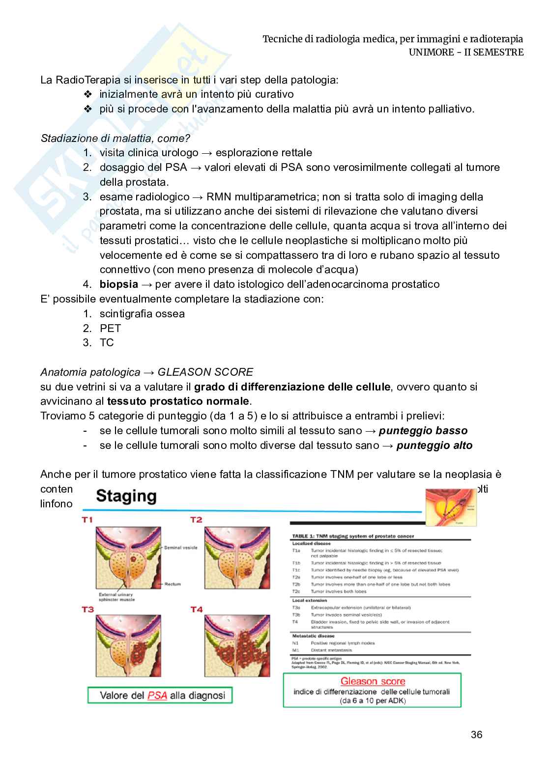 Radioterapia e radiobiologia Pag. 2