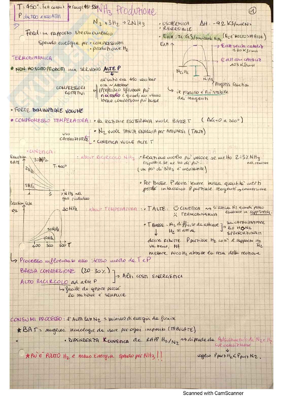 Produzione ammoniaca Pag. 1