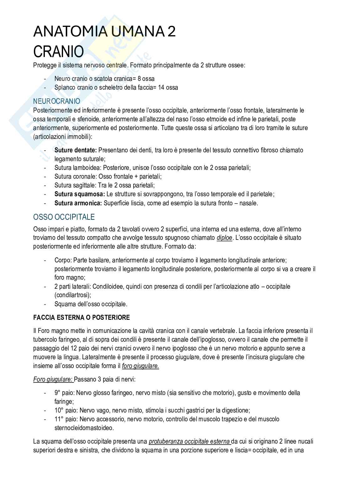 Anatomia umana II - Appunti di corso completo Pag. 1