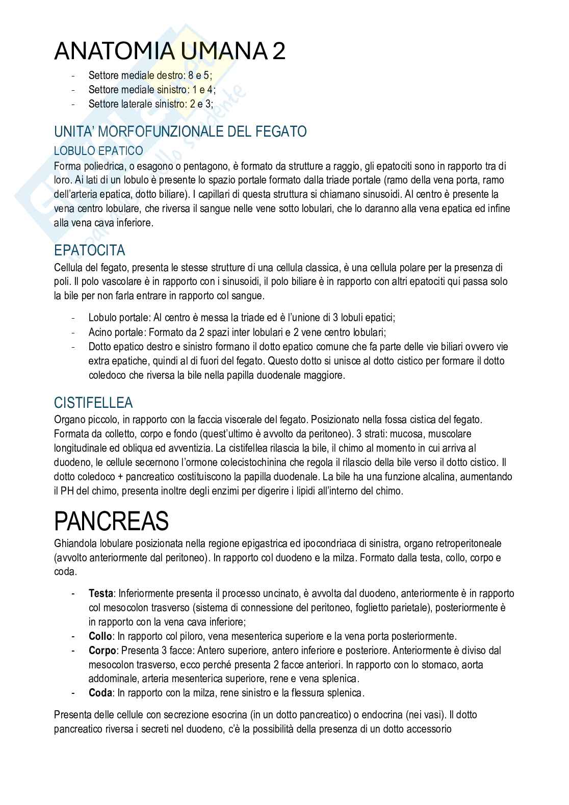 Anatomia umana II - Appunti di corso completo Pag. 16