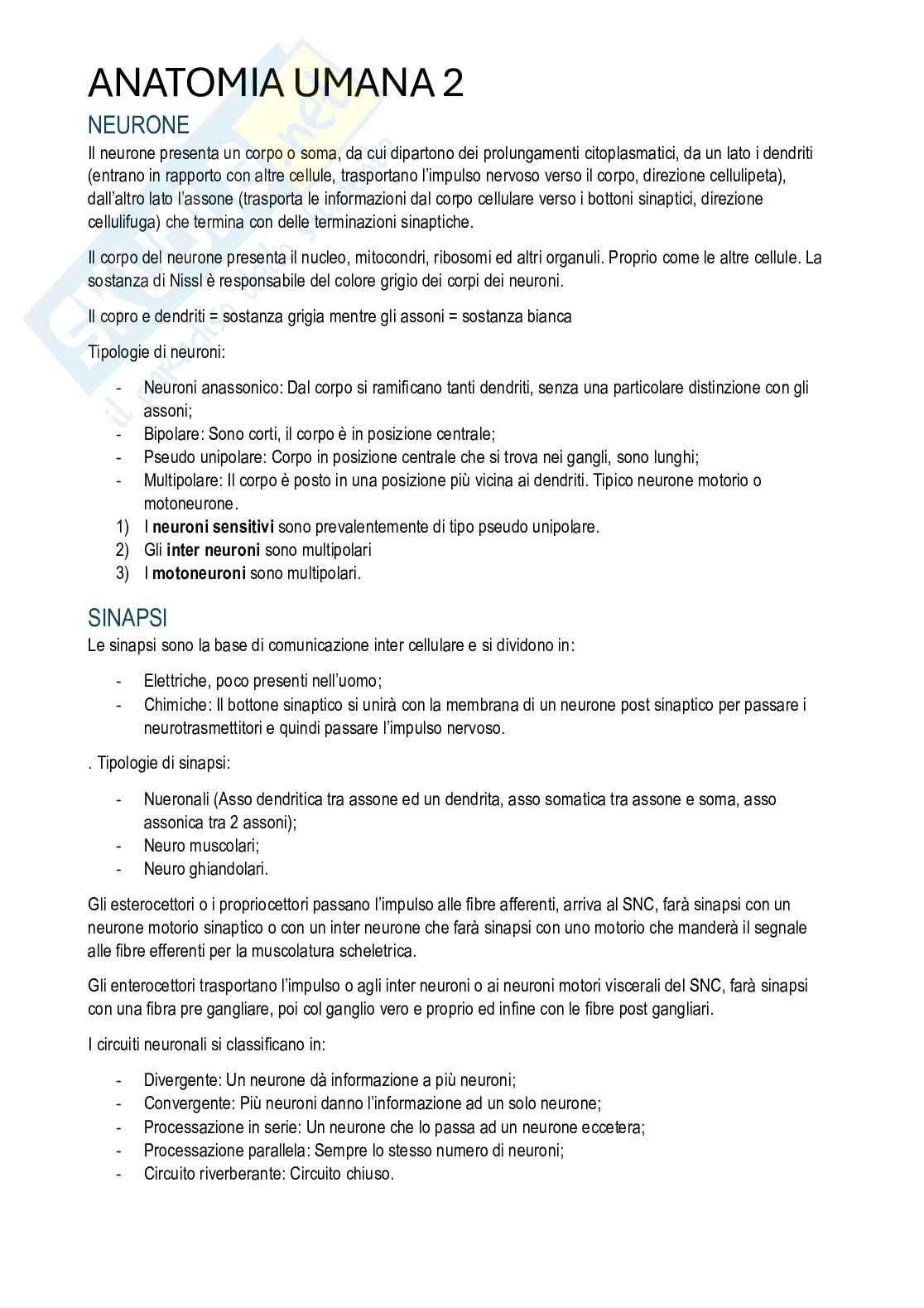 Anatomia umana II - Appunti di corso completo Pag. 21